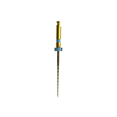 Mašininis endodontinis instrumentas E-Flex GOLD File 30/04,25mm(6vnt )