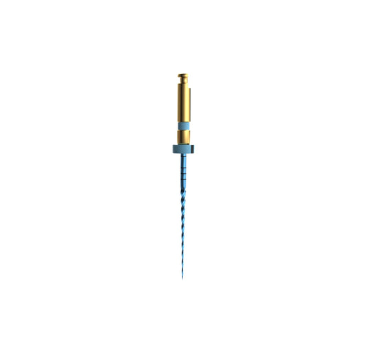 Mašininis endodontinis instrumentas E-Flex BLUE  File 30/04,25mm(6vnt )