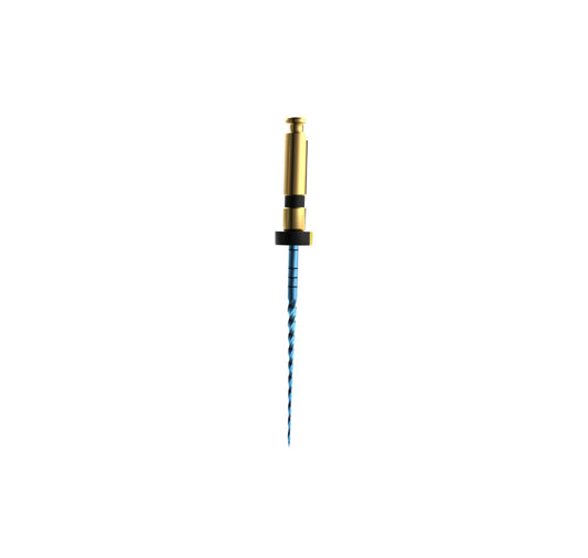 Mašininis endodontinis instrumentas E-Flex BLUE  File 40/04,25mm(6vnt )