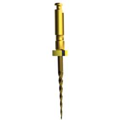 Mašininis endodontinis instrumentas E-Flex GOLD OPEN File 17/08, 25mm (4vnt )