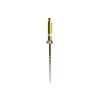 Mašininis endodontinis instrumentas E-Flex GOLD  File 15/04,25mm (6vnt )