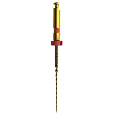 Mašininis endodontinis instrumentas E-Flex GOLD  File 25/04,25mm(6vnt )