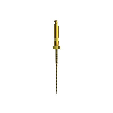 Mašininis endodontinis instrumentas E-Flex GOLD  File 20/04,25mm(6vnt )