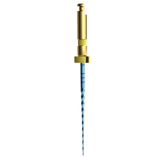 Mašininis endodontinis instrumentas E-Flex BLUE  File 20/04,25mm(6vnt )